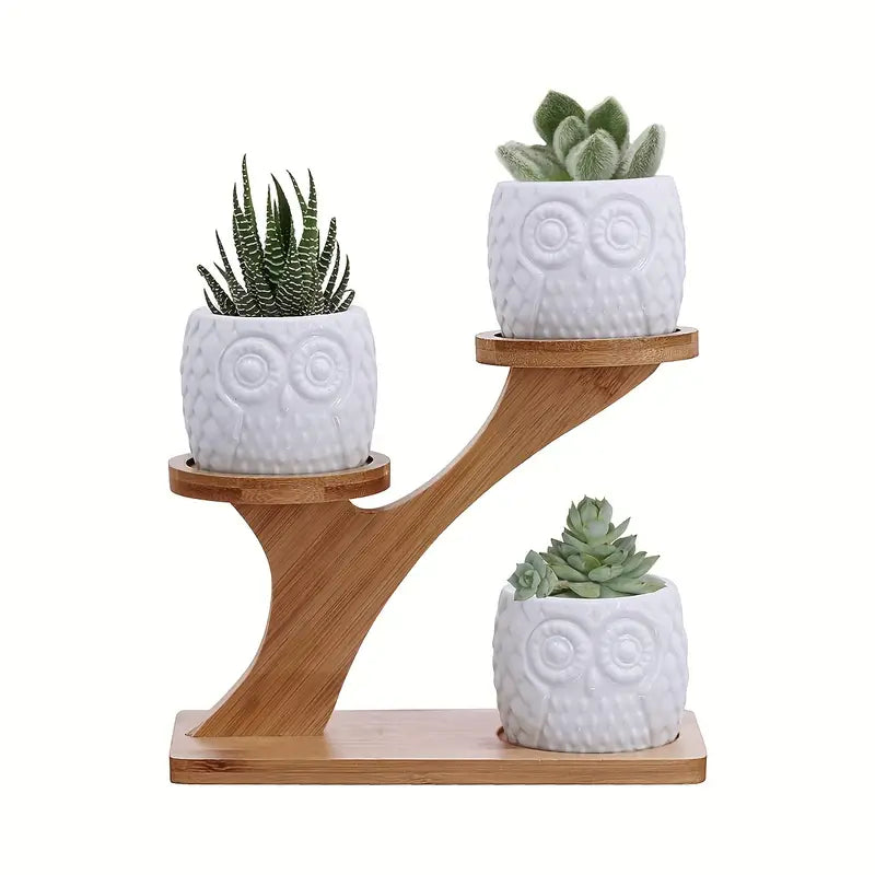 BowLift | Decorative plant stand made of wood – plant pots in owl design for succulents and indoor plants