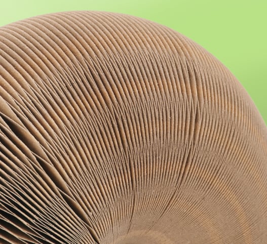 BowLift | Magic Cat Scratch Board(with ball )