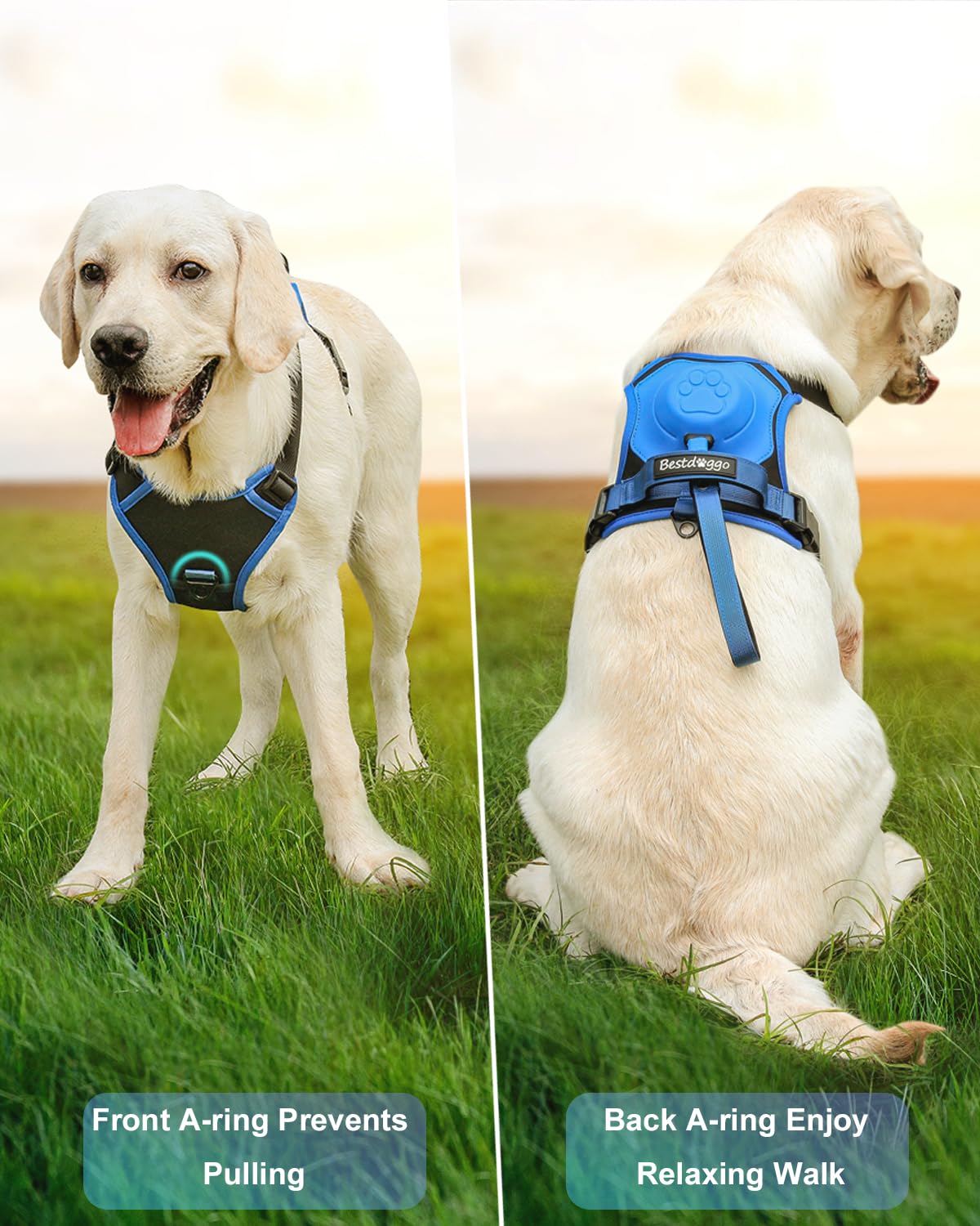 BowLift | mamymarket™ - Dog Harness and Retractable Leash Set All-in-One