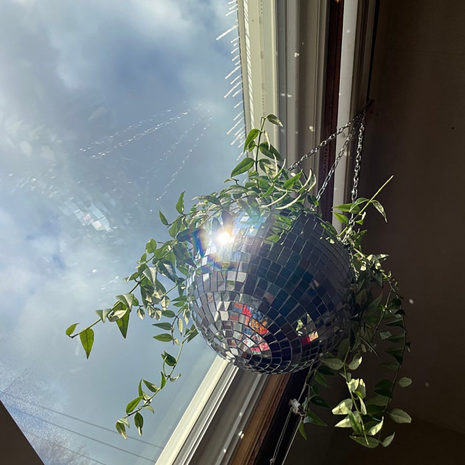 BowLift | Disco Ball Hanging Planter