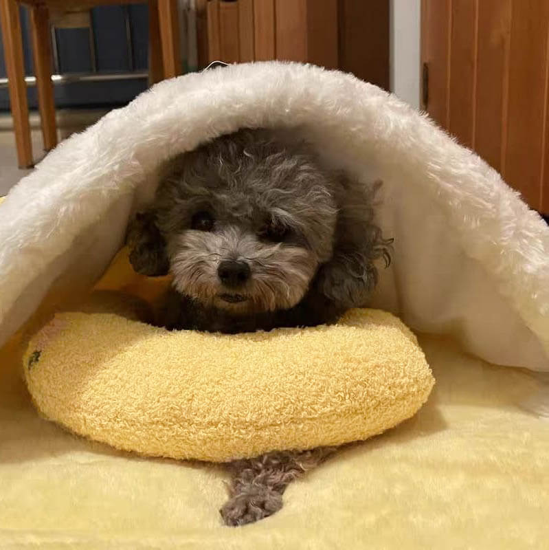 BowLift | Dog Bed Calming Fleece Anti-Anxiety Pillow