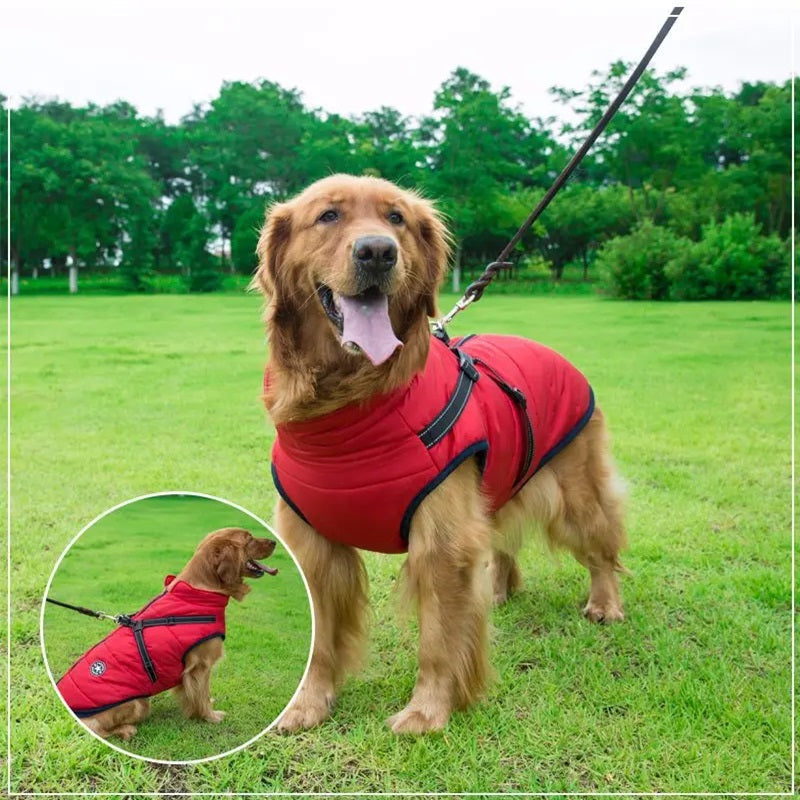 BowLift | Waterproof Dog Jacket for Winter with Reflective Built-In Harness