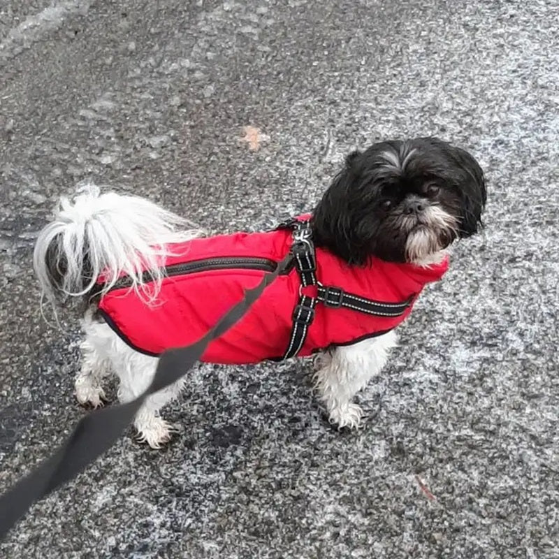 BowLift | Waterproof Dog Jacket for Winter with Reflective Built-In Harness