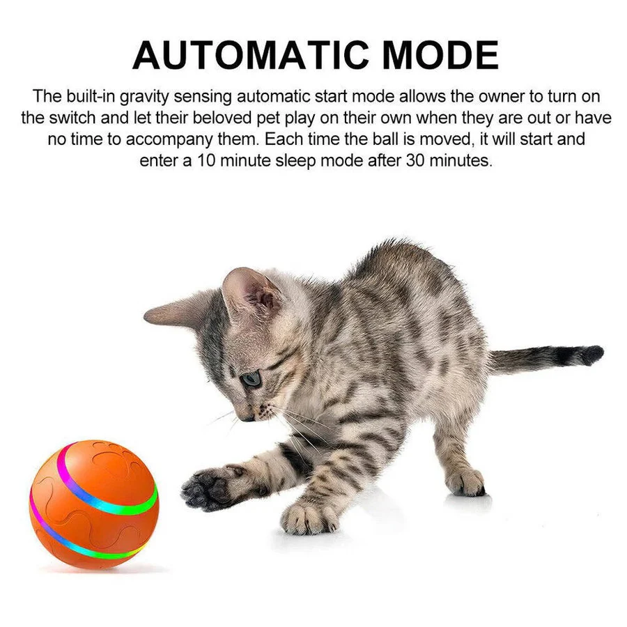 BowLift | Interactive Dog and Cat Ball Toy