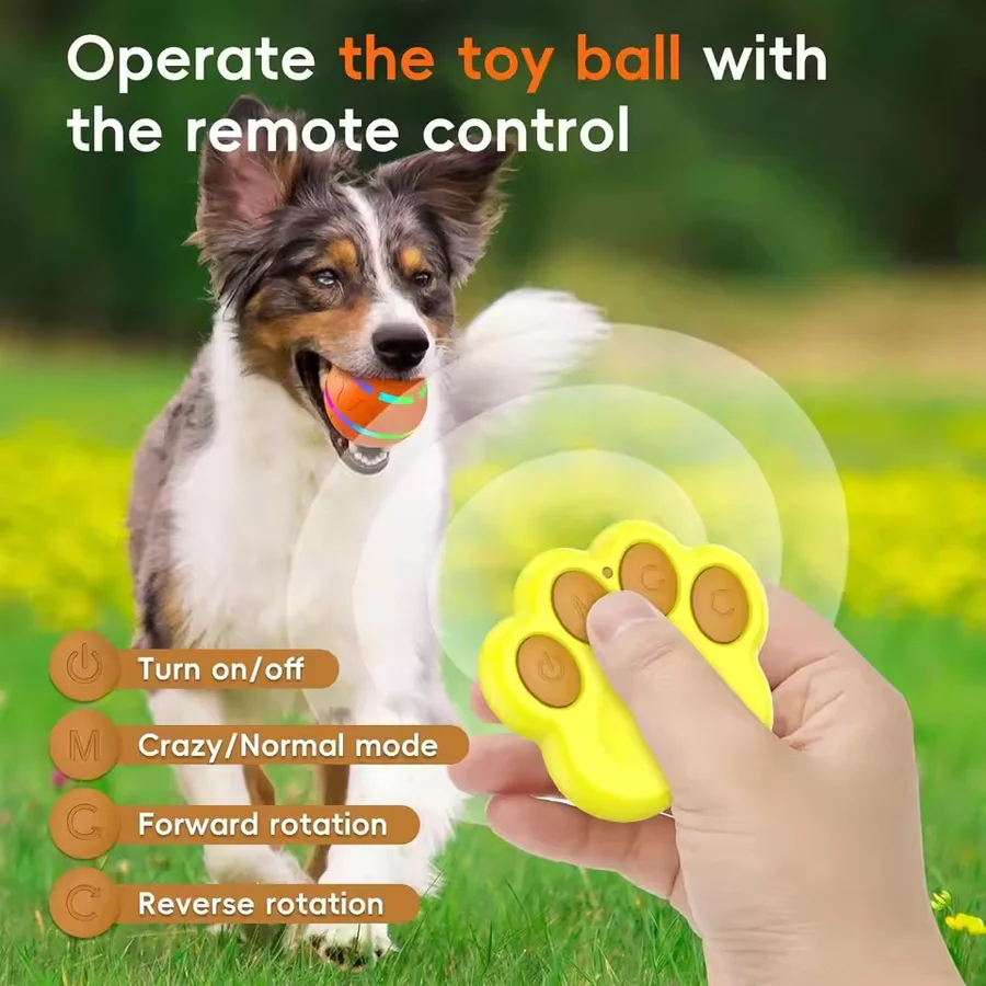 BowLift | Interactive Dog and Cat Ball Toy