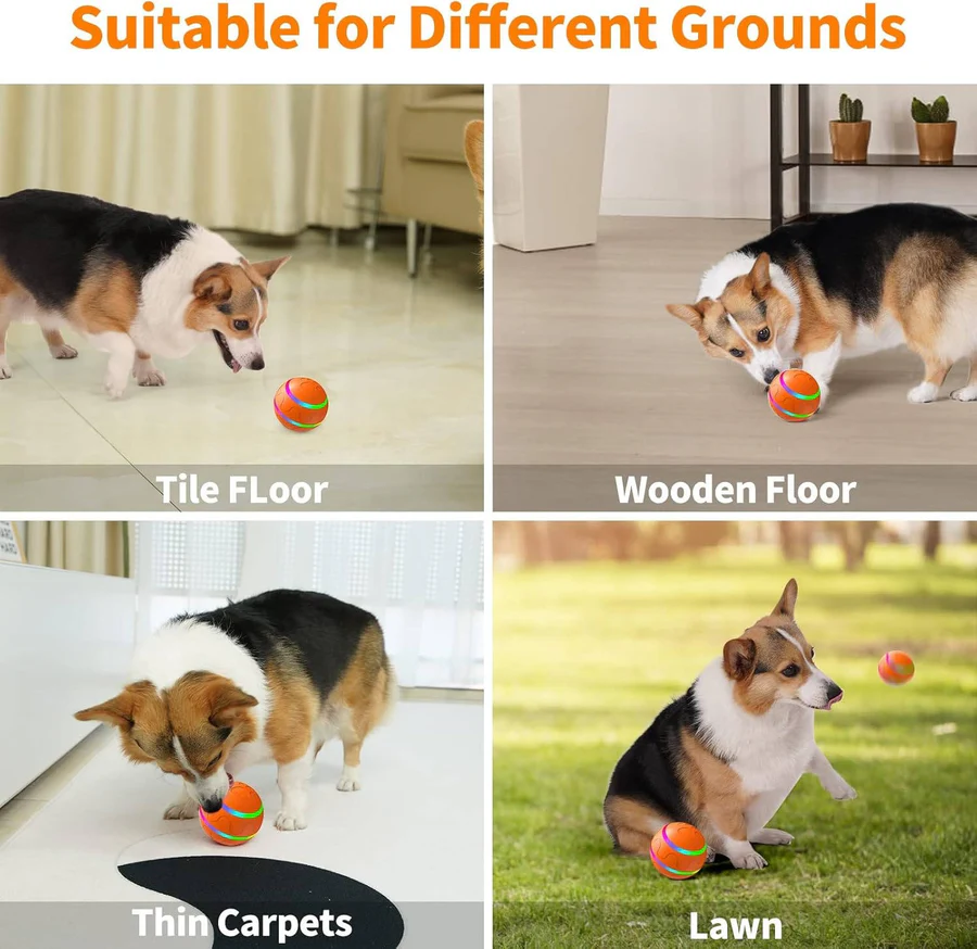 BowLift | Interactive Dog and Cat Ball Toy