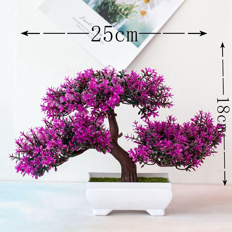 BowLift | Plant Bonsai