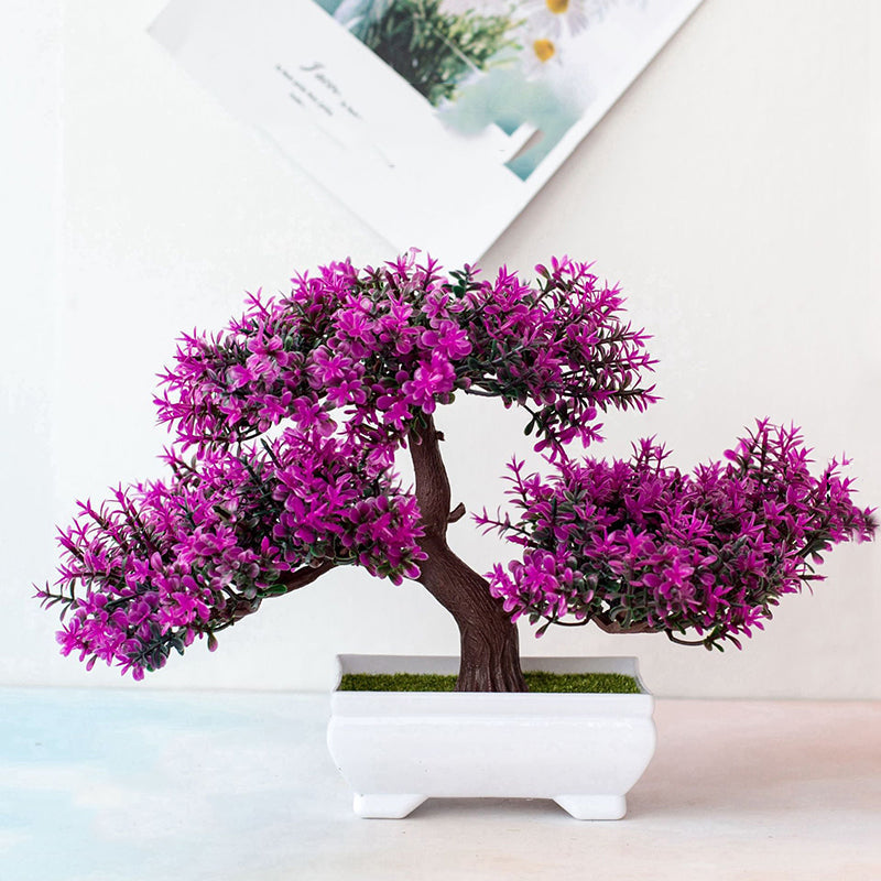 BowLift | Plant Bonsai