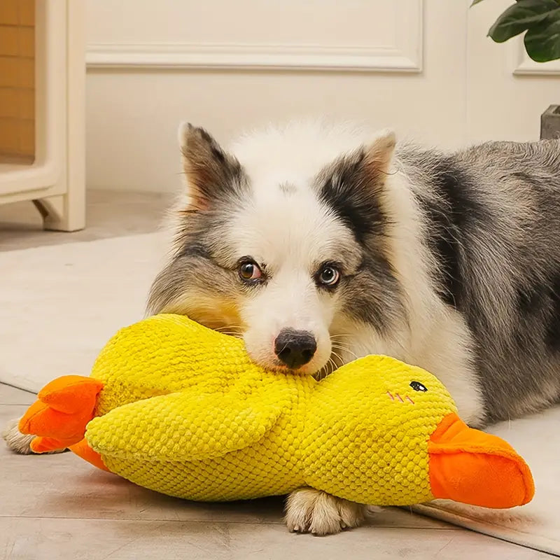 BowLift | Dog Toy Plush Duck Mental Stimulation