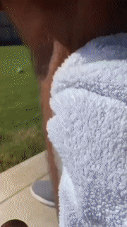 BowLift | Foam Hair Removal Spray