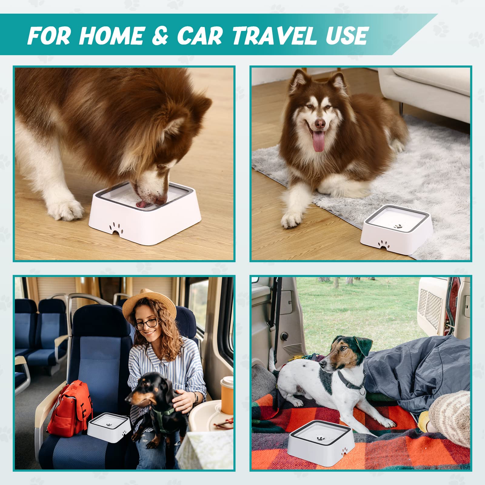 BowLift | Dry Bowl Dog Drinking