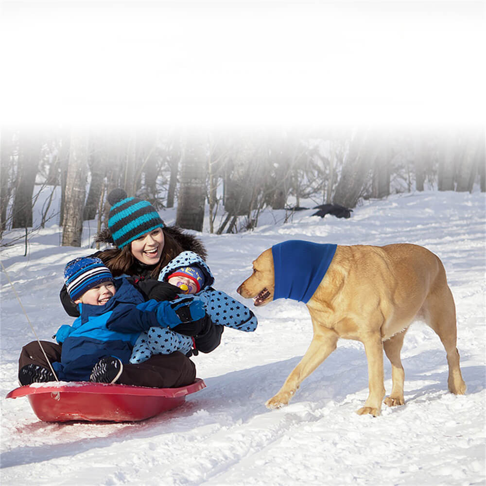 BowLift | Pet Products Dog Soothing Headband