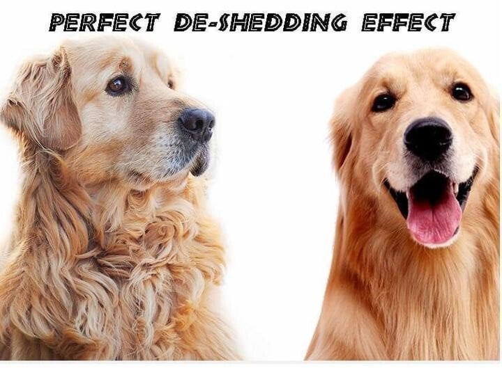 BowLift | Pet Safe Dematting Comb