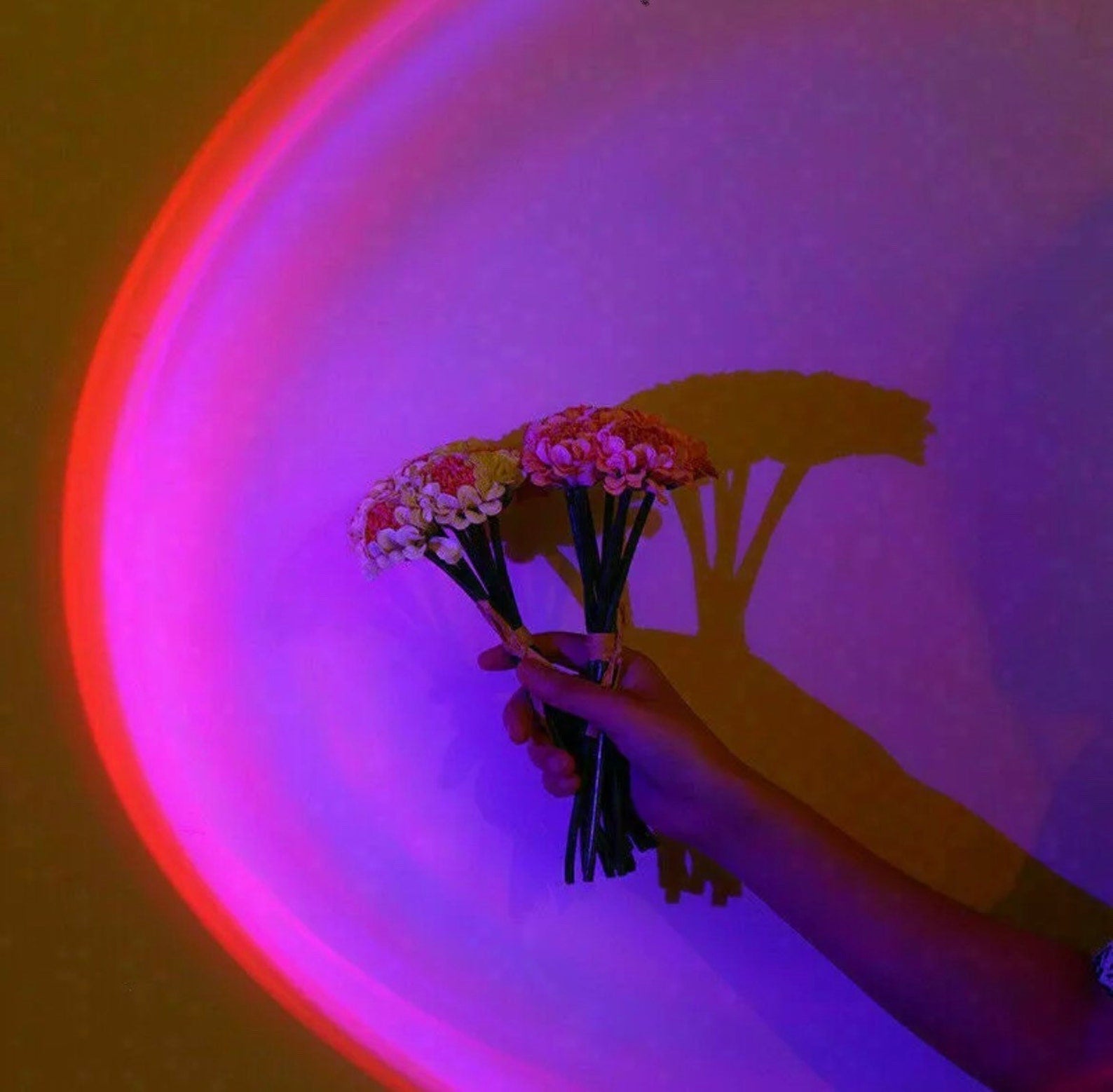 BowLift | Fifteen Colors Sunset Projector Table Lamp