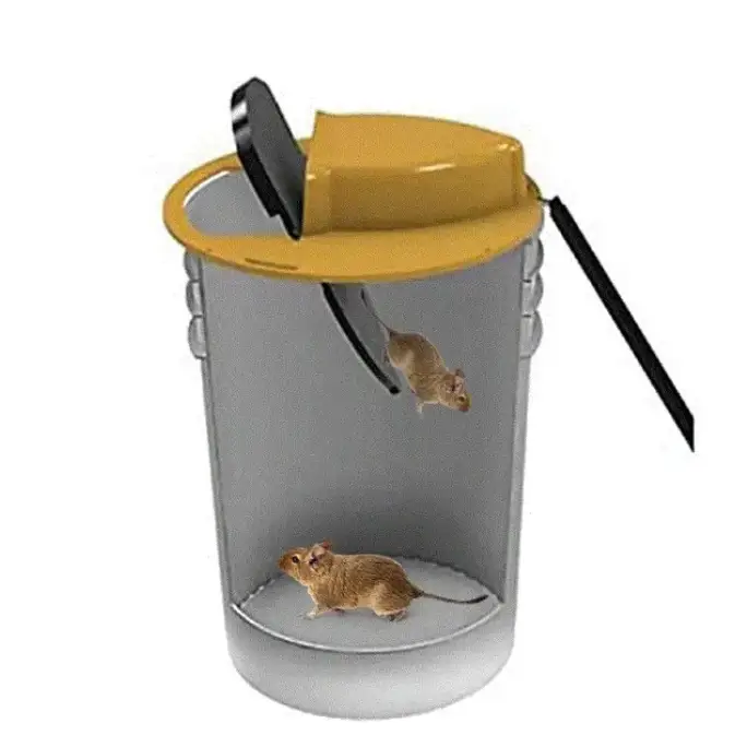 BowLift | Flip & Slide - Mouse and Rat Trap