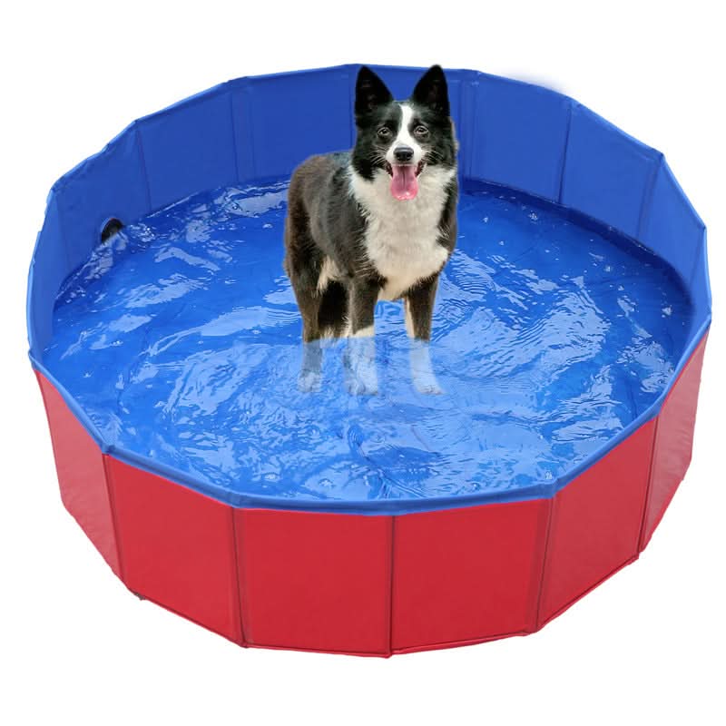 BowLift | Foldable PVC dog pool for hot summer days