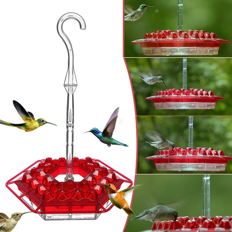 BowLift | Hummingbird Feeder With Perch And Built-in Ant Moat