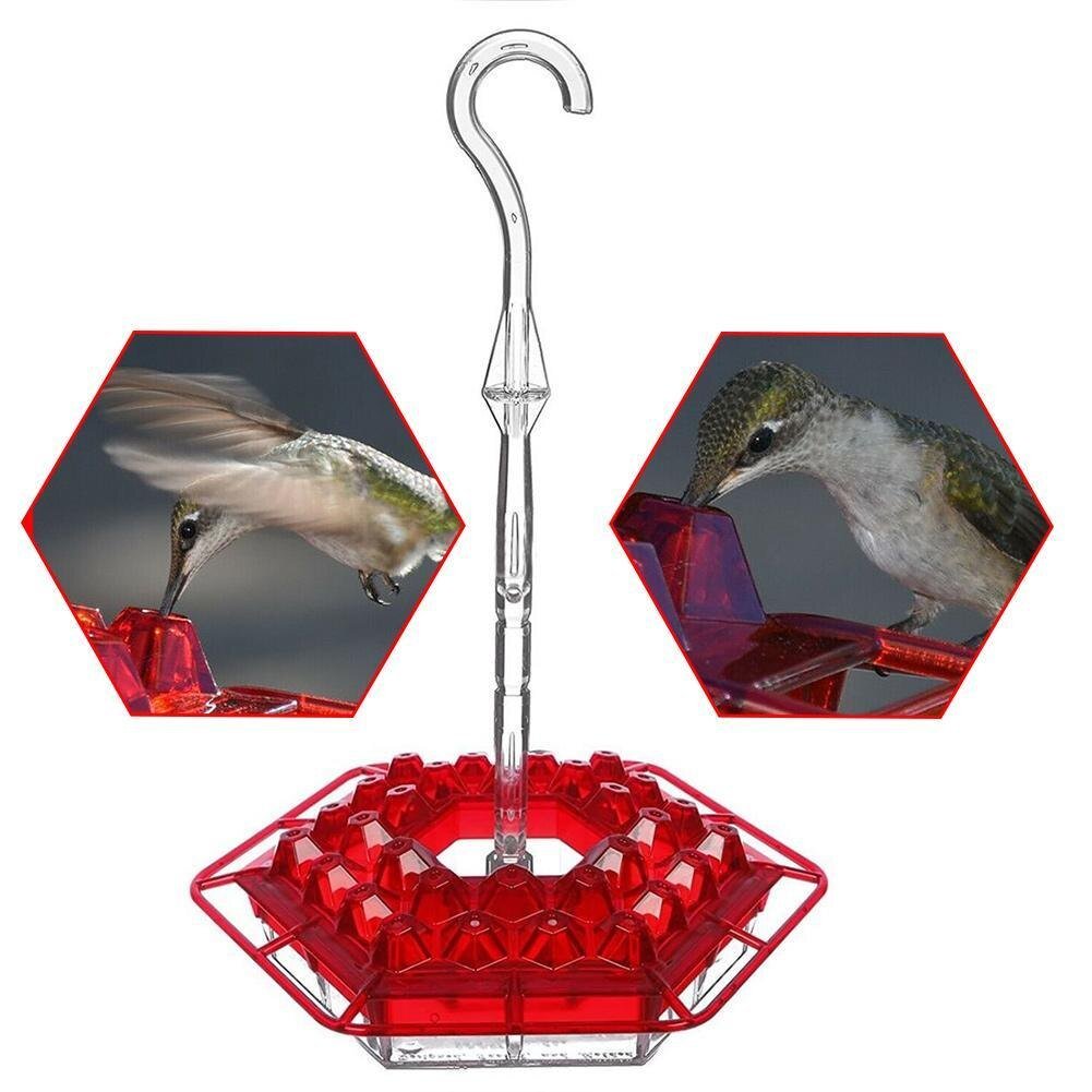 BowLift | Hummingbird Feeder With Perch And Built-in Ant Moat