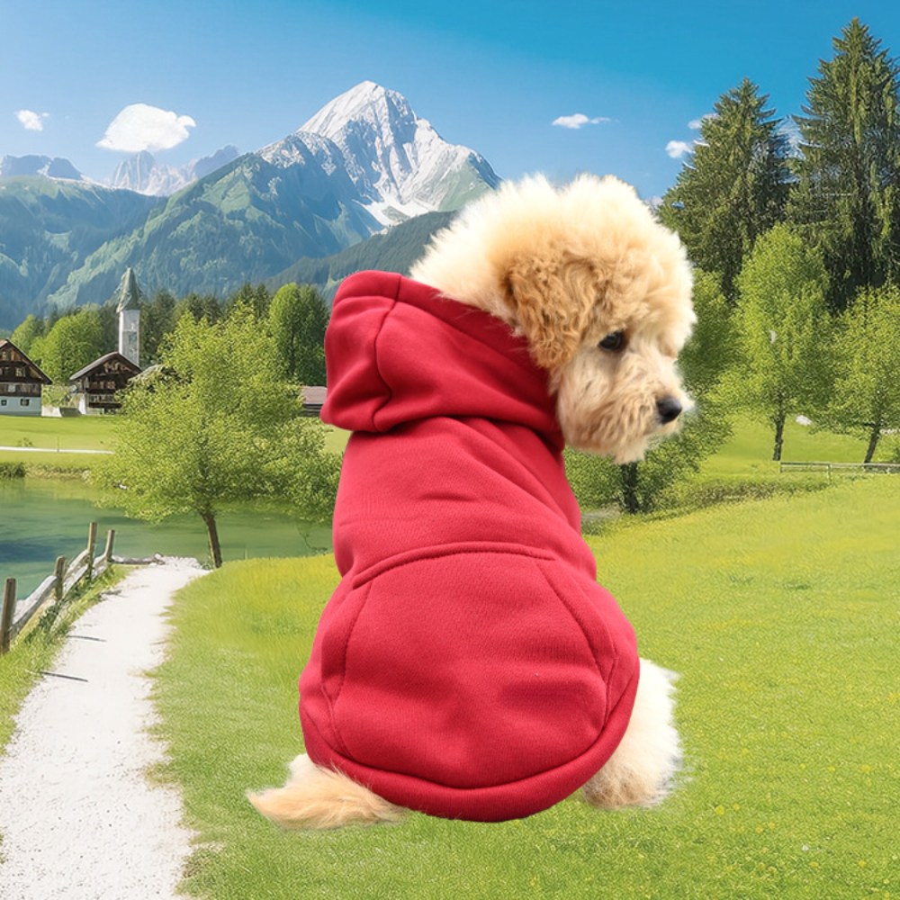 BowLift | Dog Halloween Costume Fleece Dinosaur Hoodie | Pet Outfit Warm