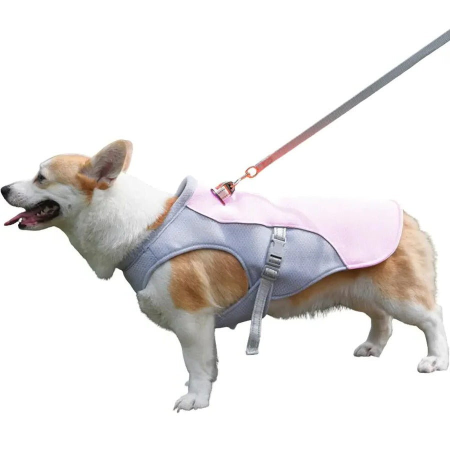BowLift | Dog Cooling Vest for Outdoor Activities
