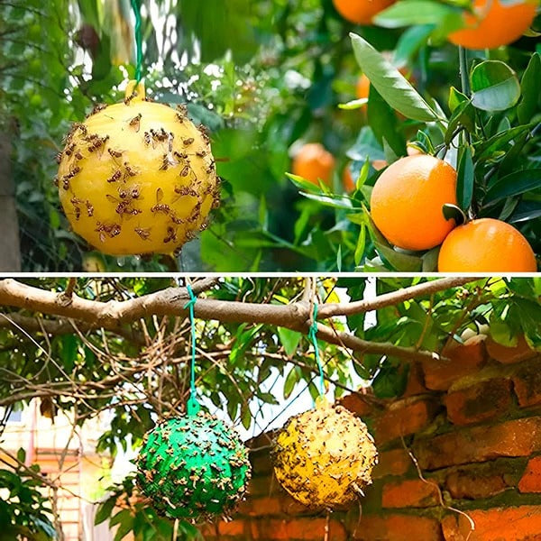 BowLift | Hanging Fly Trap with Adhesive Layer (6 Pcs)