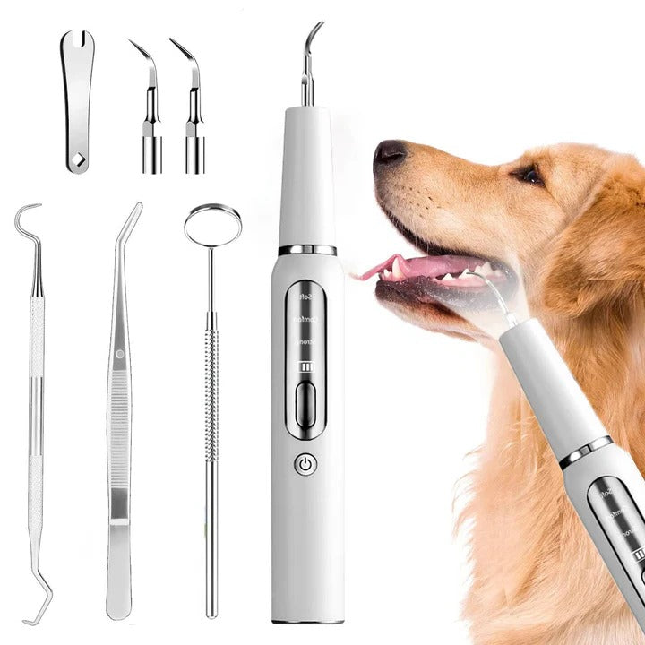 BowLift | Pet Oral Cleaning Tool for Fresh Breath & Grooming Care