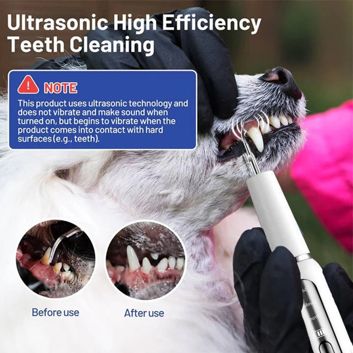 BowLift | Pet Oral Cleaning Tool for Fresh Breath & Grooming Care