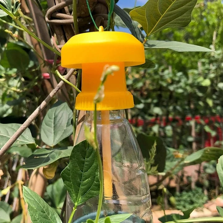 BowLift | Fruit Fly Trap with Hanging Cover