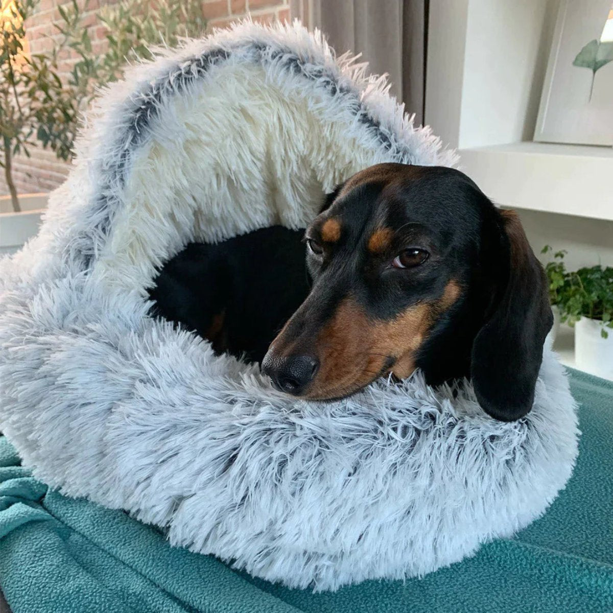 BowLift | Cozy Cave Pet Bed | Calming & Comfortable Dog Bed for Deep Relaxation