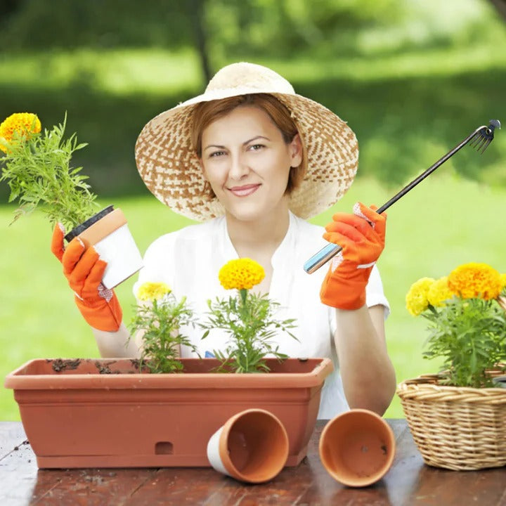 BowLift | Crescent Weeder Tool with Long Handle