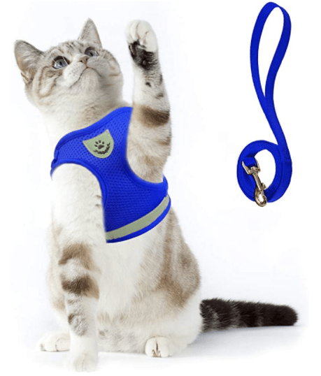 BowLift | Escape-proof cat harness with reflective details