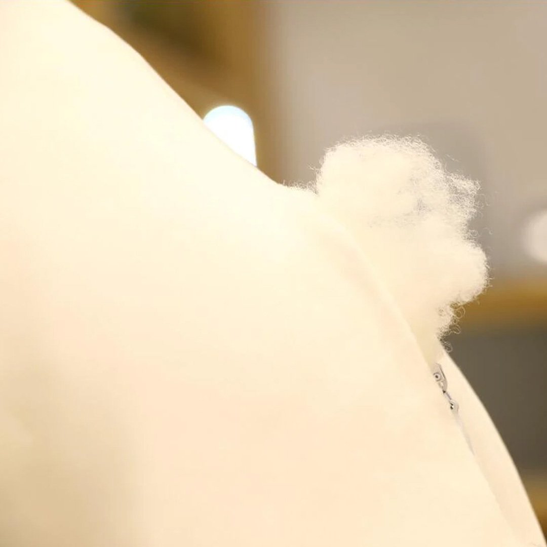 BowLift | Fred the Super Puffy Seagull