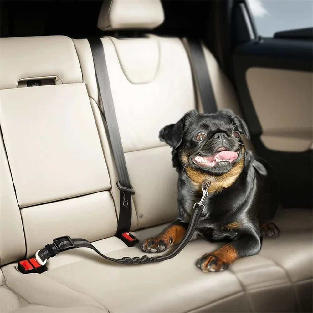 BowLift | Elastic dog safety belt