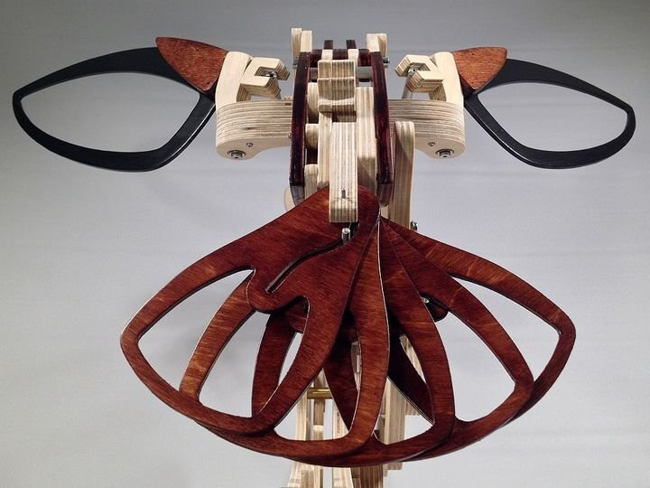 BowLift | 3D Wood Mechanical Hummingbird and Wood Mechanical Turtle