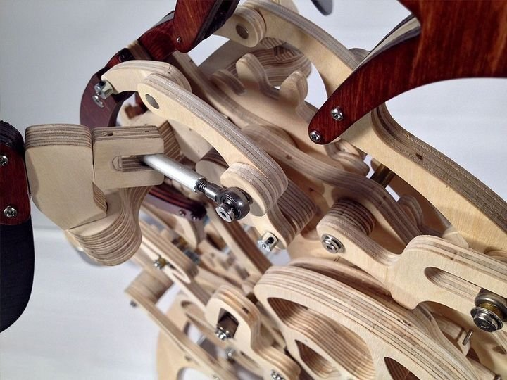 BowLift | 3D Wood Mechanical Hummingbird and Wood Mechanical Turtle