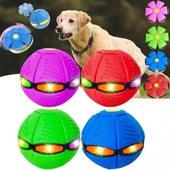 BowLift | Dog Toy Interactive Rubber Flying Disc Ball