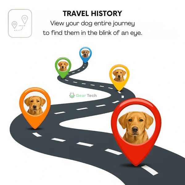 BowLift | GPS Dog Collar | Waterproof, Adjustable & Unlimited Range for Real-Time Tracking