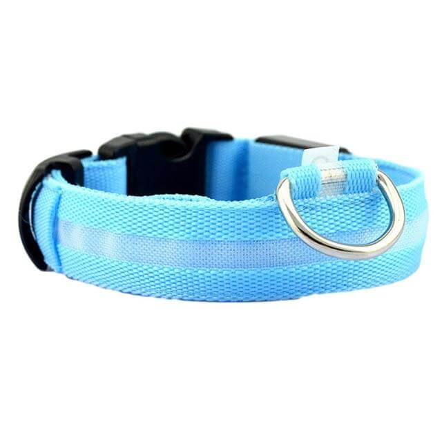 BowLift | GlowPets LED Collar – Safety & Visibility for Pets