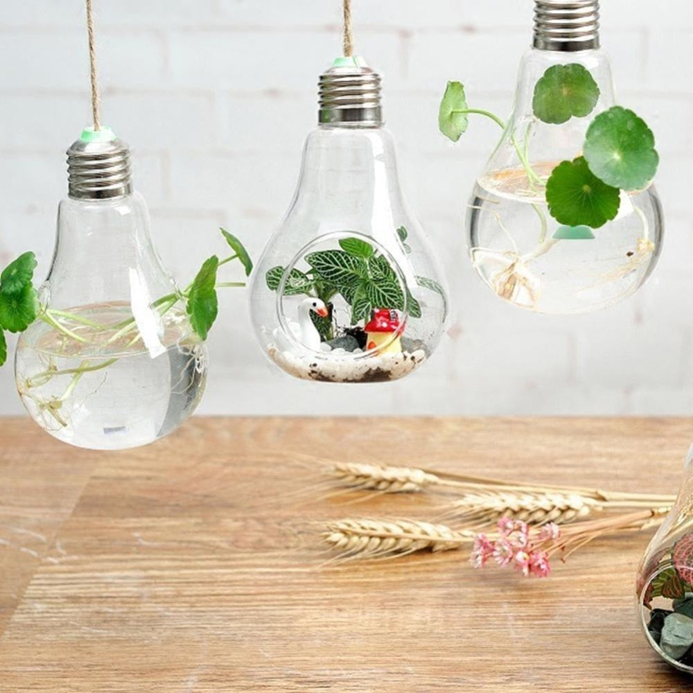 BowLift | Hanging Glass Light Bulb Lamp Shape Flower Water Plant