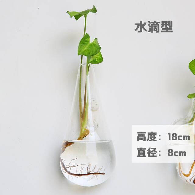 BowLift | Handmade New Hexagonal Wall Clear Terrarium Vase