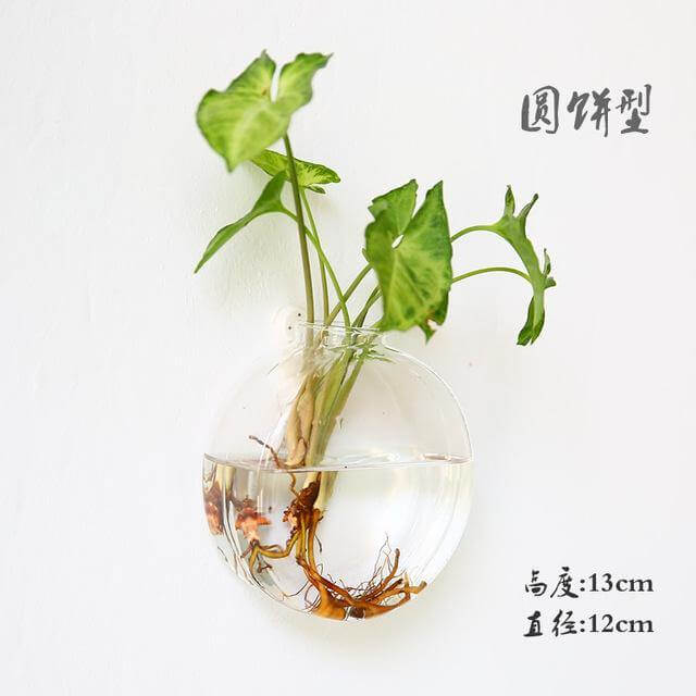 BowLift | Handmade New Hexagonal Wall Clear Terrarium Vase