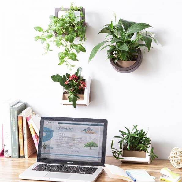 BowLift | 2 Pcs/Lot Wall Hanging Plant Pot