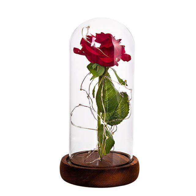 BowLift | 1Pcs Beast Red Rose Flower Vase