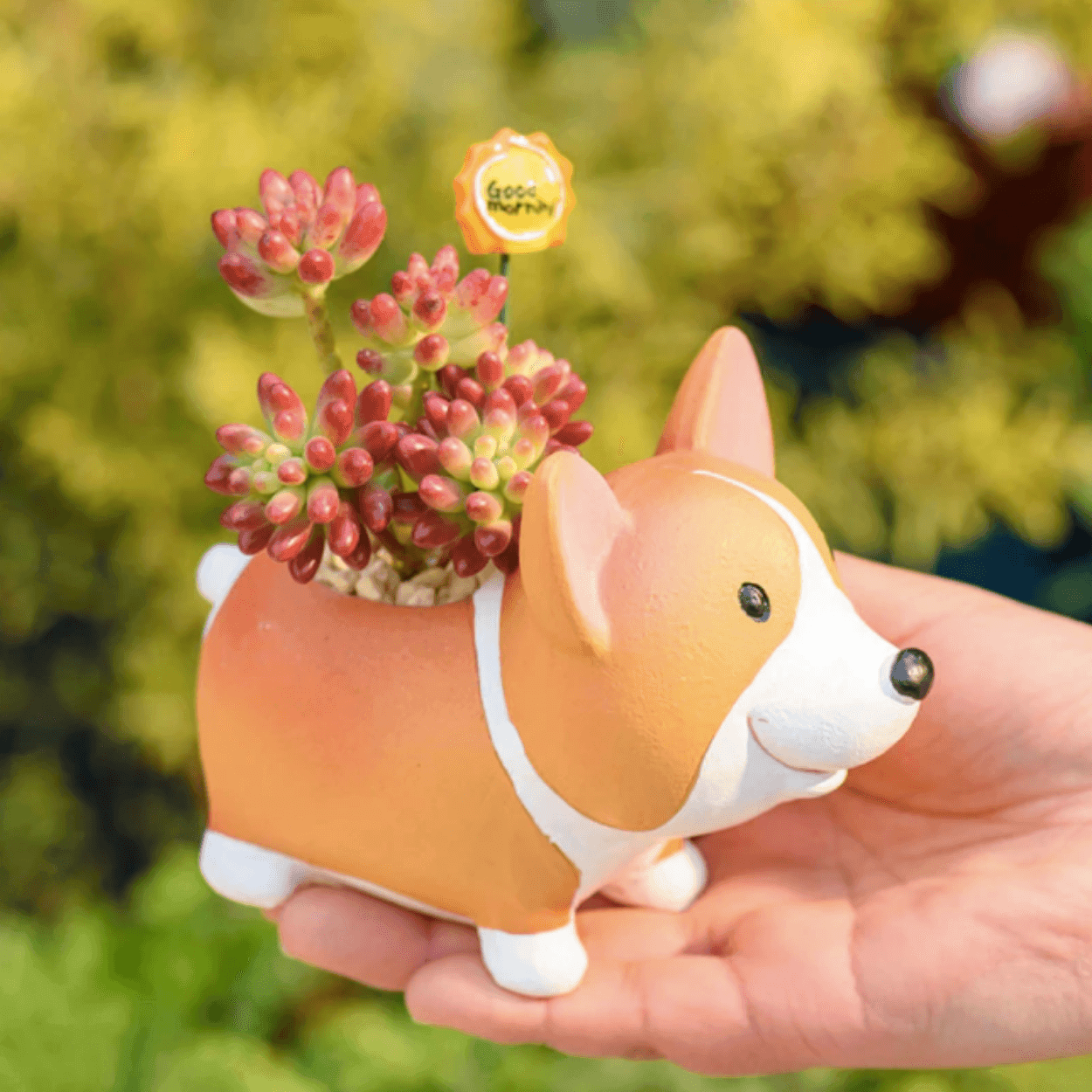 BowLift | Resin Corgi Mini Flower Pot