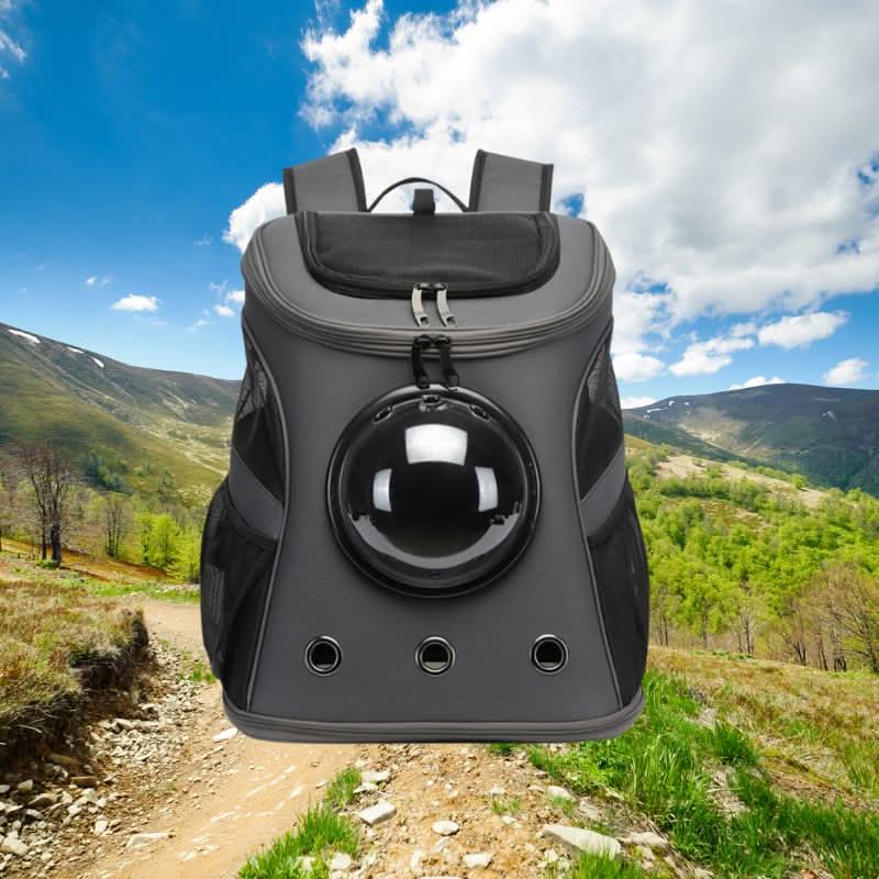 BowLift | Foldable Cat Travel Bag with Panoramic Window & Comfort Design