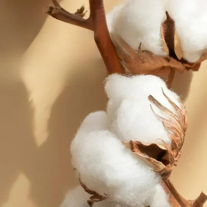 BowLift | Satin Cotton Embroidered Bedding Set - Luxora