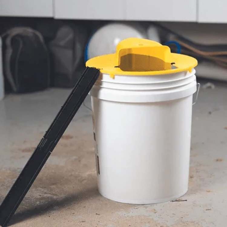 BowLift | SmartCatch Hands-Free Mouse Trap | Safe for Families & Pets, Multiple Capture System for Effective Rodent Control