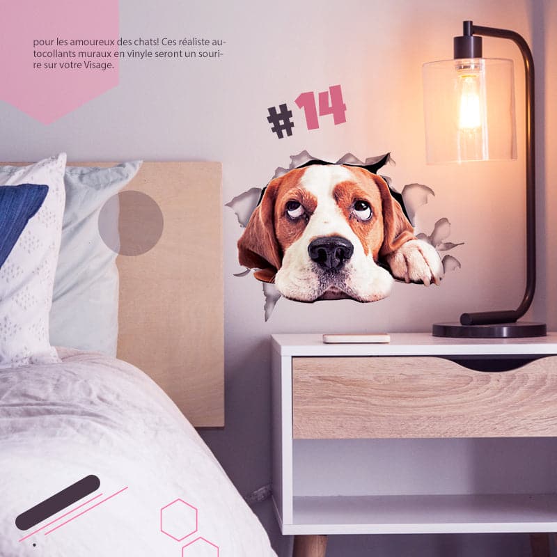 BowLift | 3D stickers with cats and dogs that can be removed