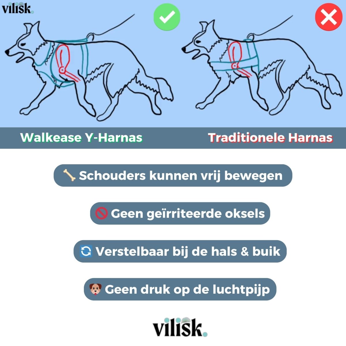 BowLift | WalkEase Harness – Anti-pull dog harness for relaxed walks & healthy posture