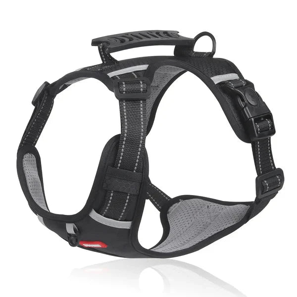 BowLift | WalkEase Harness – Anti-pull dog harness for relaxed walks & healthy posture
